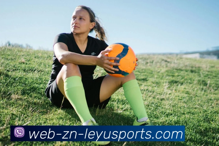 互动解说服务